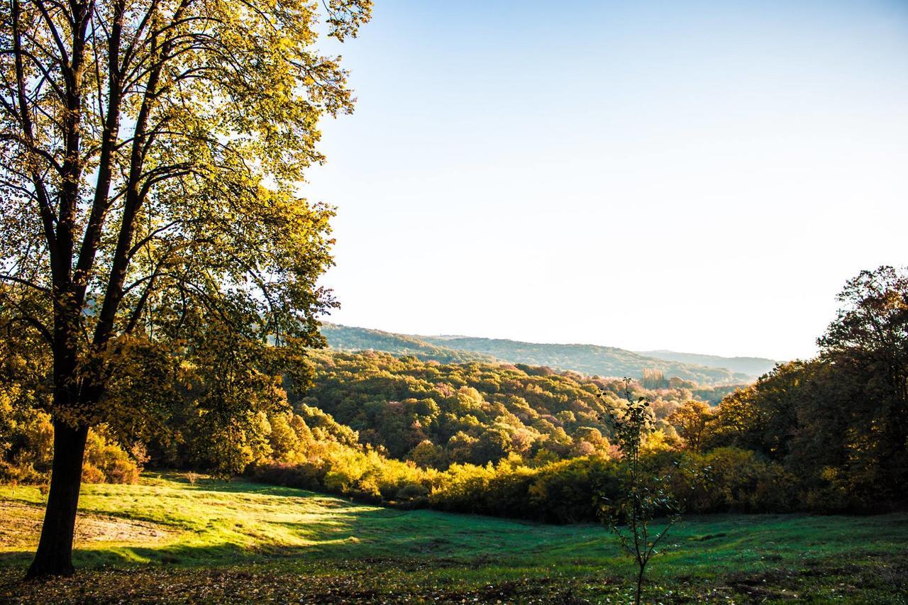 Bed and Breakfast Etno Naselje Vrdnicka Kula Врднік Екстер'єр фото